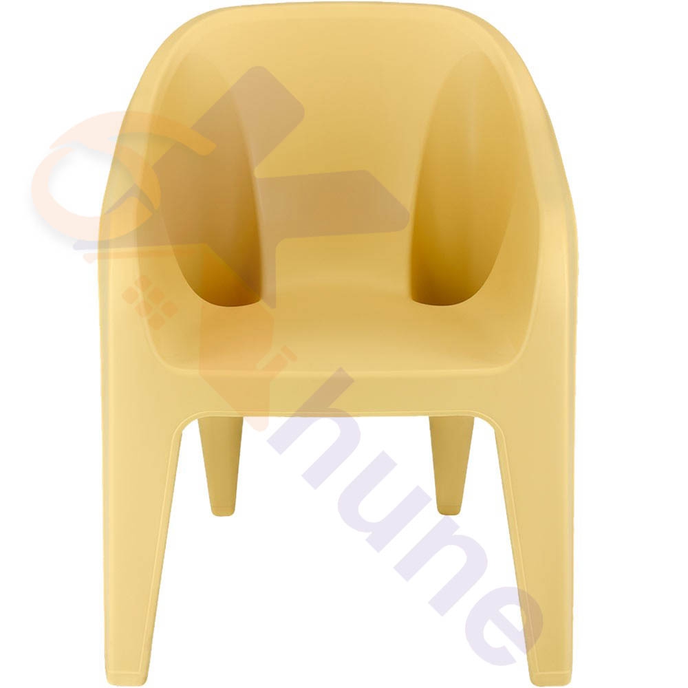 صندلی دسته دار ناصر کد 439